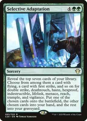 Magic: The Gathering - Commander 2020 - Selective Adaptation - Rare - Normal