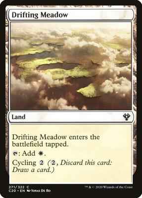Magic: The Gathering - Commander 2020 - Drifting Meadow - Common - Normal