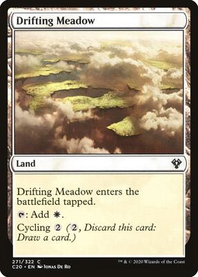 Magic: The Gathering - Commander 2020 - Drifting Meadow - Common