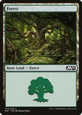 Magic: The Gathering - Core Set 2021 - Forest (272) - Land - Normal