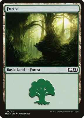 Magic: The Gathering - Core Set 2021 - Forest (274) - Land - Normal