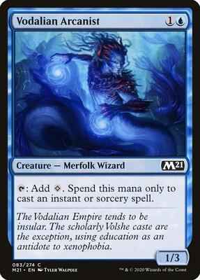 Magic: The Gathering - Core Set 2021 - Vodalian Arcanist - Common - Normal