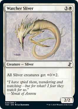 Magic: The Gathering - Time Spiral: Remastered - Watcher Sliver - Common - Normal