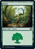 Magic: The Gathering - Strixhaven: School of Mages - Forest (374) - Land - Normal