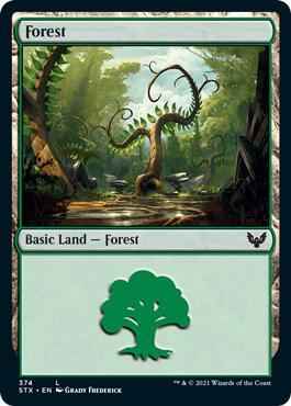 Magic: The Gathering - Strixhaven: School of Mages - Forest (374) - Land - Normal
