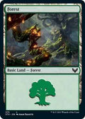 Magic: The Gathering - Strixhaven: School of Mages - Forest (375) - Land - Normal