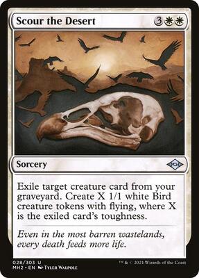 Magic: The Gathering - Modern Horizons 2 - Scour the Desert - Normal - Anime Card Craze