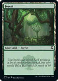 Magic: The Gathering - Commander Legends: Battle for Baldur's Gate - Forest (467) - Normal