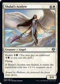 Magic: The Gathering - Dominaria United - Shalai's Acolyte - Normal