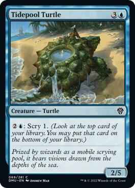 Magic: The Gathering - Dominaria United - Tidepool Turtle - Normal
