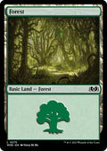 Magic: The Gathering - Wilds of Eldraine - Forest (0275) - Normal - Anime Card Craze