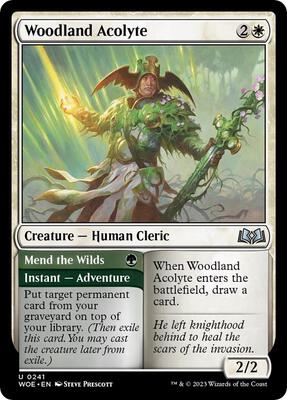 Magic: The Gathering - Wilds of Eldraine - Woodland Acolyte - Foil - Anime Card Craze