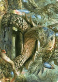 Magic: The Gathering - Art Series: Wilds of Eldraine - Blossoming Tortoise Art Card - Normal - Anime Card Craze