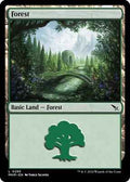 Magic: The Gathering - Murders at Karlov Manor - Forest (0285) - Normal