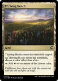 Magic: The Gathering - Ravnica: Clue Edition - Thriving Heath - Normal