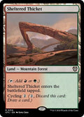 Magic: The Gathering - Commander: Outlaws of Thunder Junction - Sheltered Thicket - Normal - Anime Card Craze