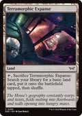 Magic: The Gathering - Duskmourn: House of Horror - Terramorphic Expanse - Normal