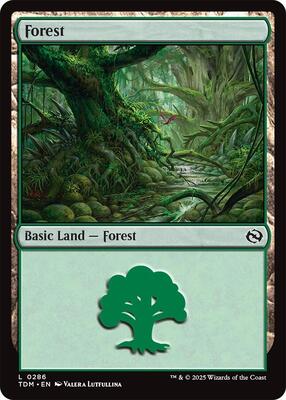 Magic: The Gathering - Tarkir: Dragonstorm - Forest (0286) - Normal - Anime Card Craze