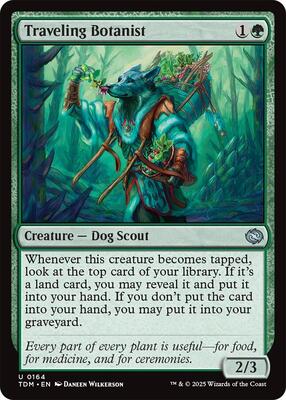 Magic: The Gathering - Tarkir: Dragonstorm - Traveling Botanist - Normal - Anime Card Craze