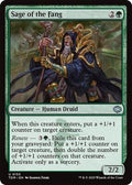 Magic: The Gathering - Tarkir: Dragonstorm - Sage of the Fang - Normal - Anime Card Craze