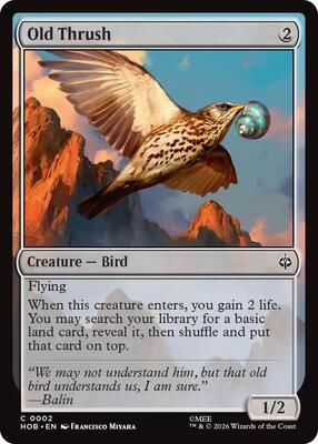 Magic: The Gathering - The Hobbit - Old Thrush - Common - Foil