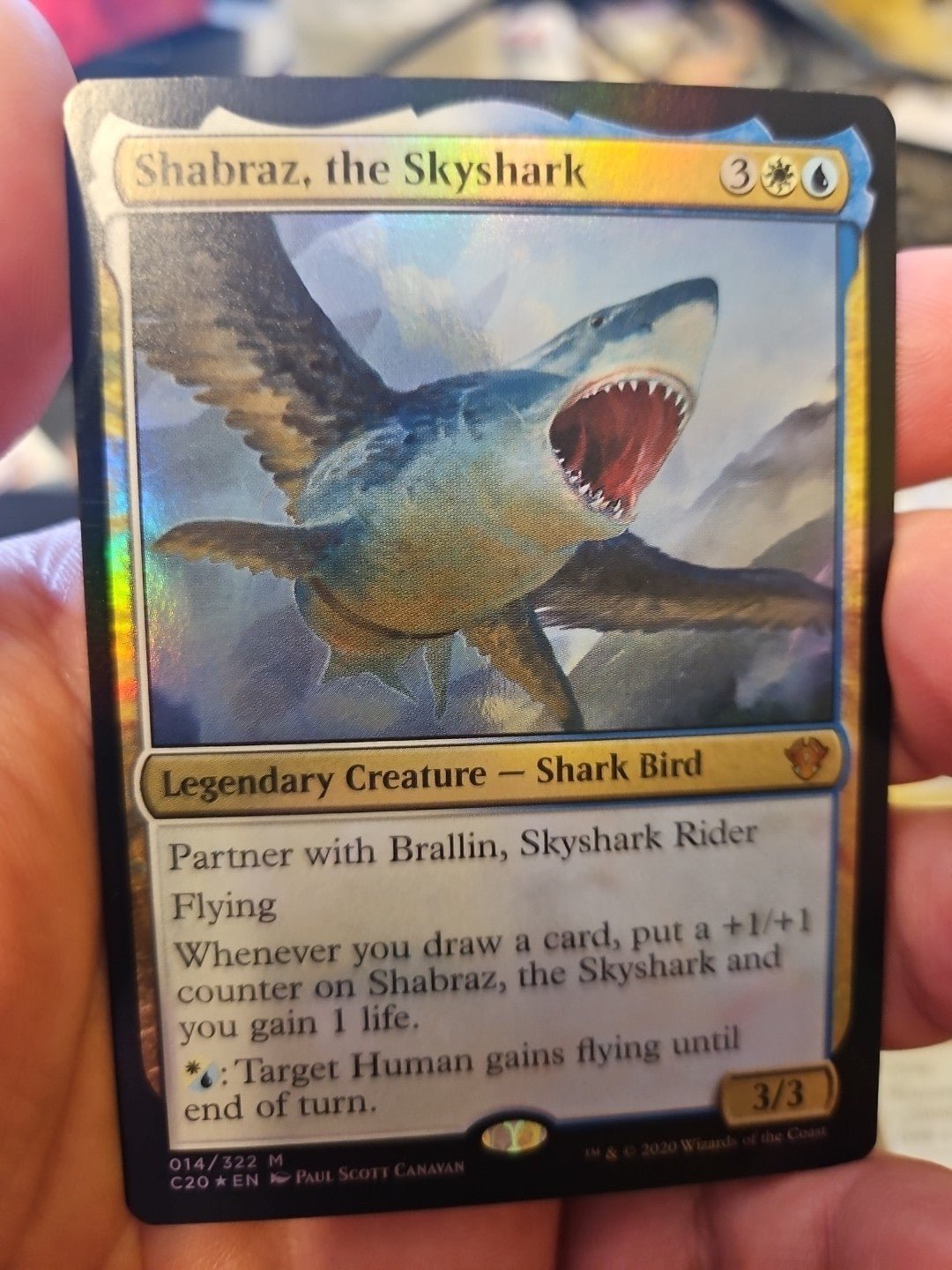 MTG - Commander 2020 - Shabraz, the Skyshark (Foil) - Anime Card Craze