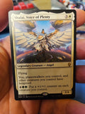 MTG - Dominaria - Shalai, Voice of Plenty - NM - NF - Anime Card Craze