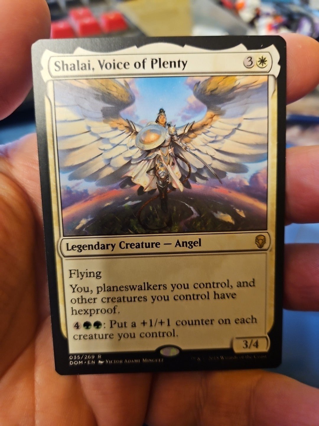 MTG - Dominaria - Shalai, Voice of Plenty - NM - NF - Anime Card Craze
