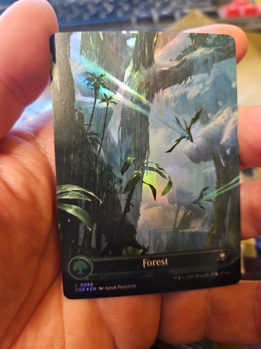 MTG - Edge of Eternities - Forest (266) - Celestial Borderless - NM - Foil - Anime Card Craze