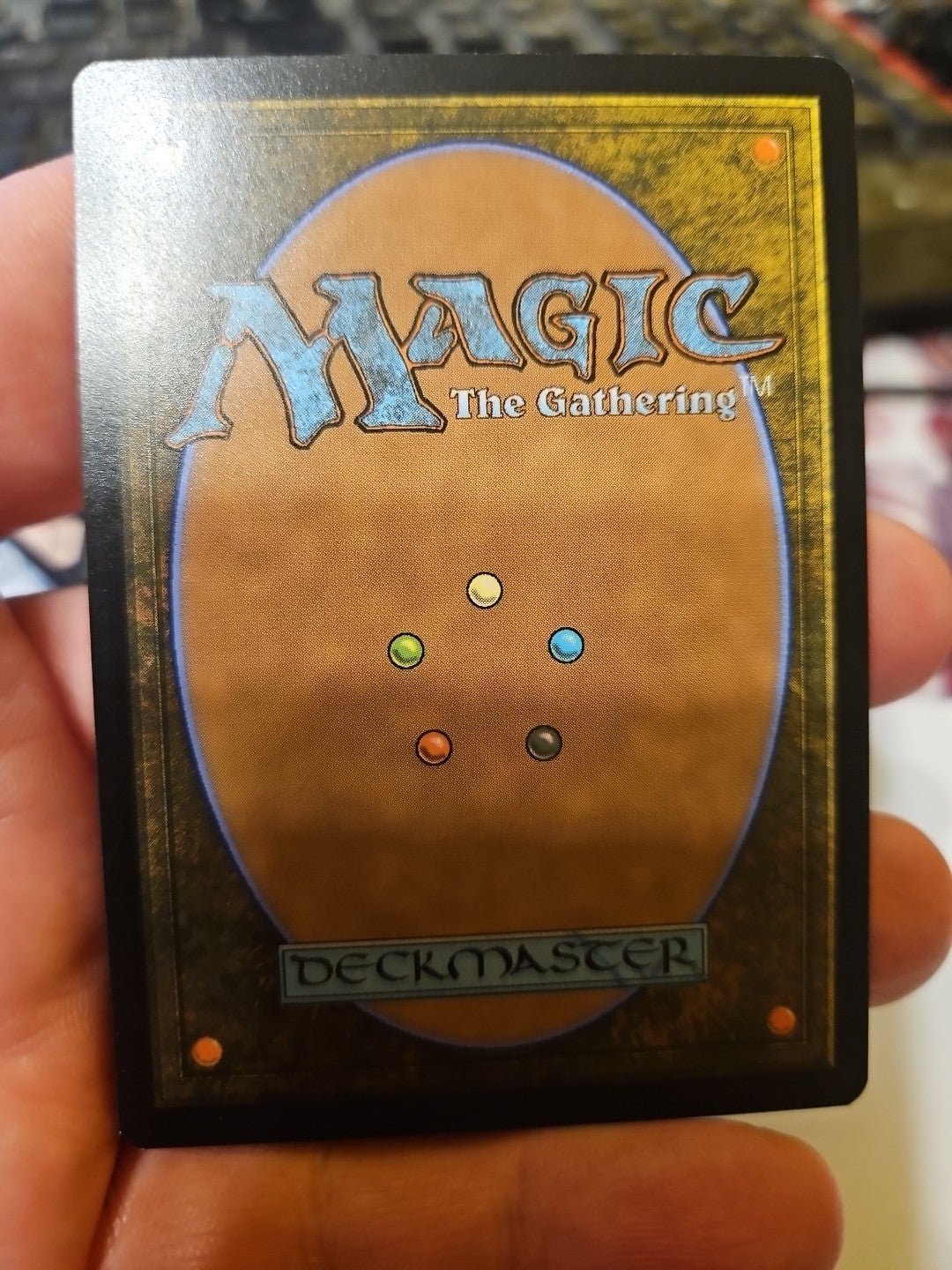MTG -Edge Of Eternity - Forest - Borderless - NM - NF - Anime Card Craze