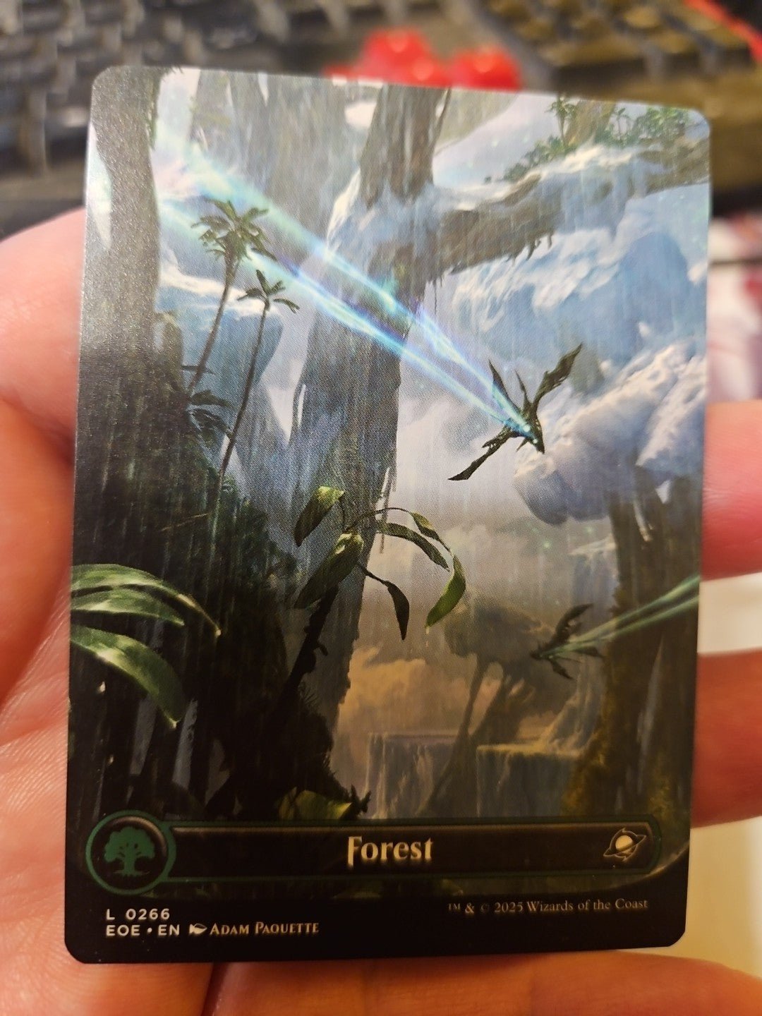 MTG -Edge Of Eternity - Forest - Borderless - NM - NF - Anime Card Craze