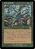 MTG - Onslaught - Weird Harvest - Japanese - Anime Card Craze