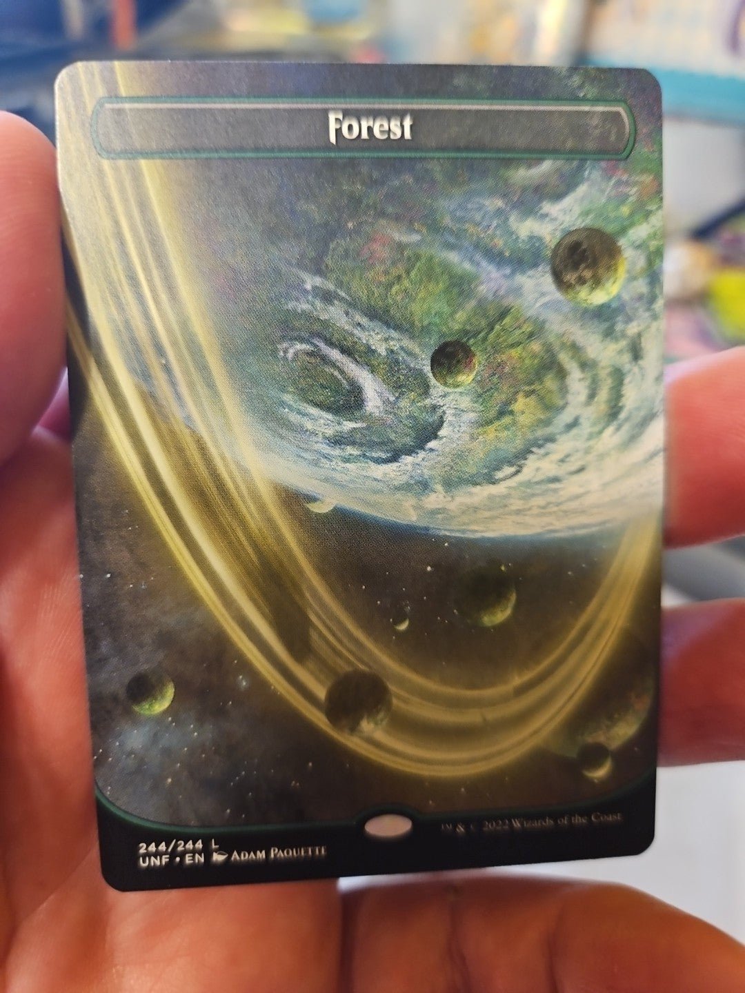 MTG - Unfinity - Forest (244) - Borderless - NM - NF - Anime Card Craze