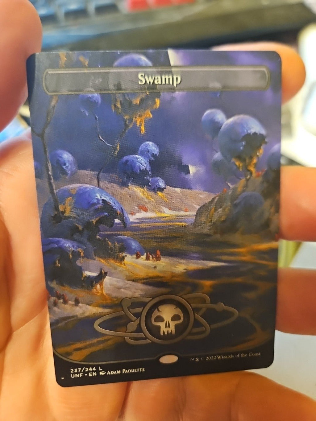 MTG - Unfinity - Swamp (237) - Borderless - NM - NF - Anime Card Craze
